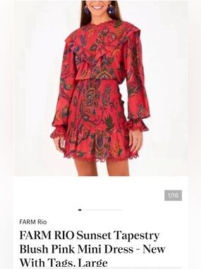 FARM RIO Sunset Tapestry Blush Pink Mini Dress - New With Tags, Large